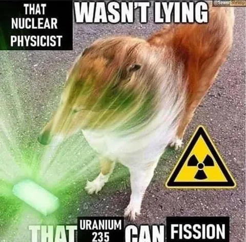Nuclear Physicist Wasn't Lying