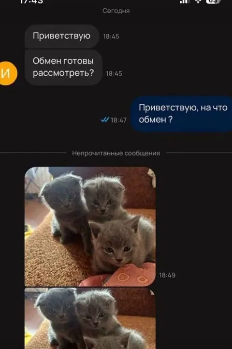 Обмен готовы рассмотреть?