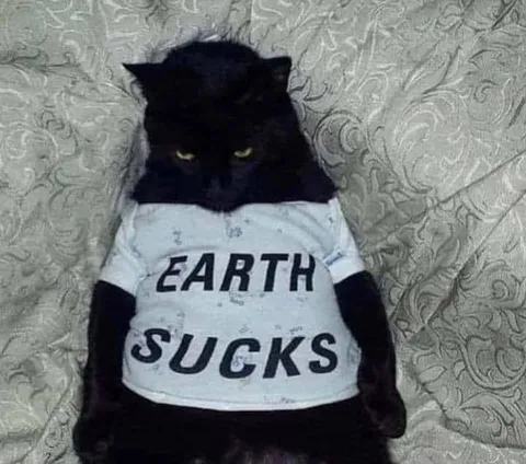 Earth Sucks Cat