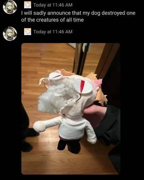 Dog Destroyed a Magical Creature