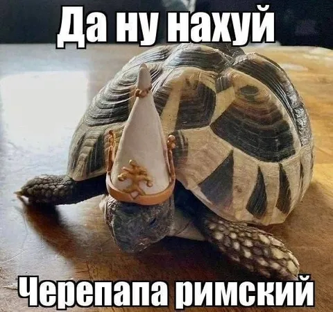 Черепаха римский праздник