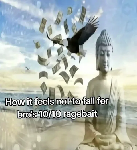 Not Falling for Ragebait