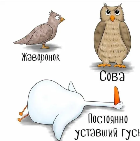 Постоянно уставший гусь