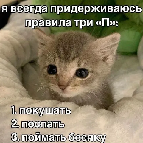 Правила три «П»