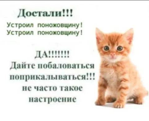 Дайте пожаловаться и поприкалываться