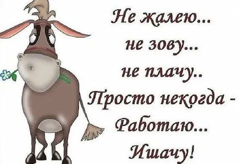 Не жалею, не зову, не плачу