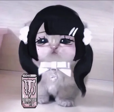 Кошка с Monster Energy