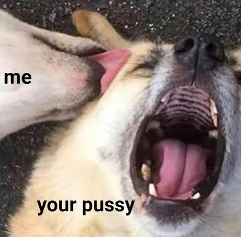 Me Your Pussy