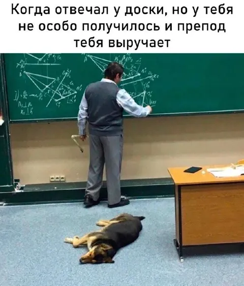 Препод спасает у доски