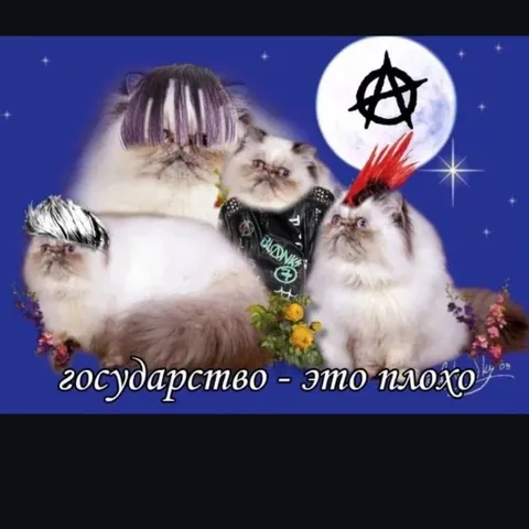 Государство — это плохо