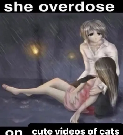She Overdoses on Cat Videos