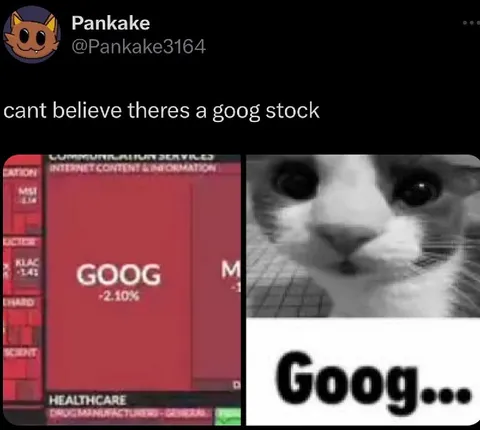 Goog Stock Sad Cat