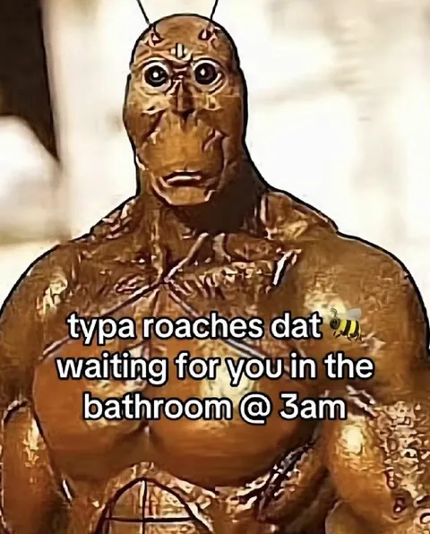 Roaches Waiting at 3 AM