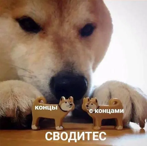 Сводитесь концами