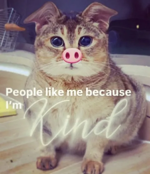 People Like Me Because I’m Kind