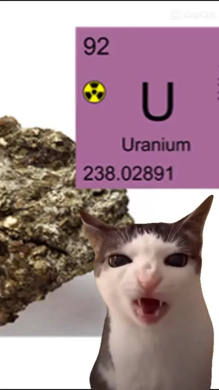 Cat Chews Uranium