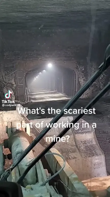 The Mine Spiders