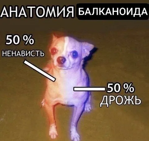 Анатомия балканоида