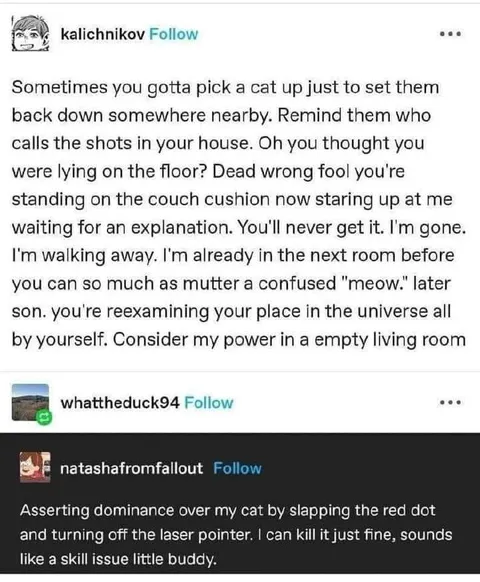 Cat Asserting Dominance