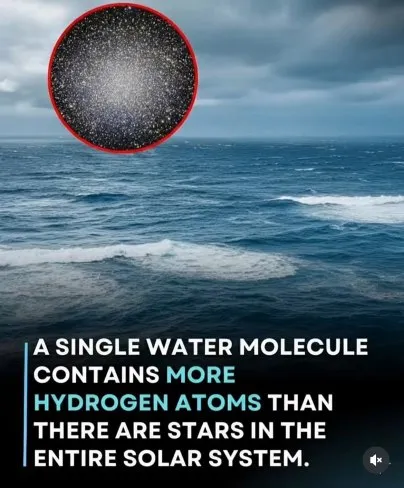 One Water Molecule vs the Solar System