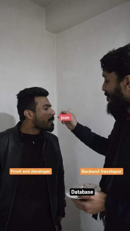 Frontend and Backend Developer Meme