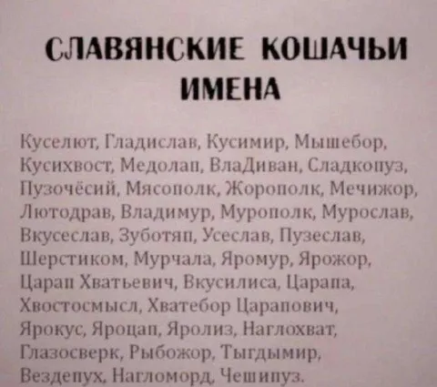 Славянские кошачьи имена