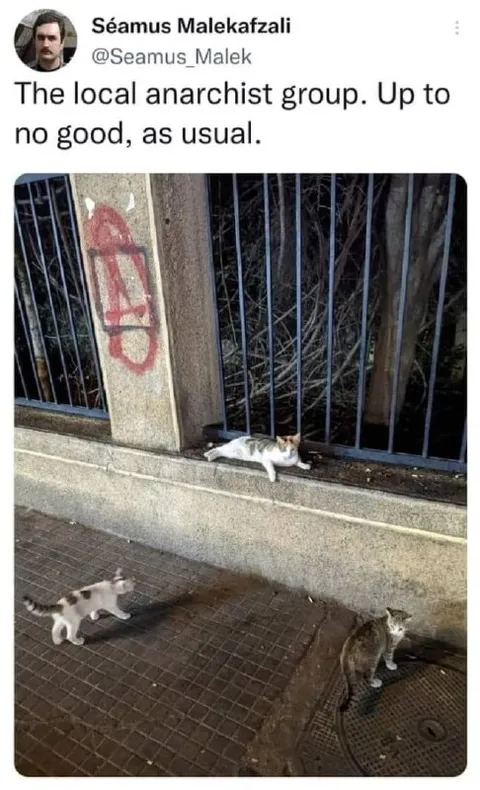 Local Anarchist Group