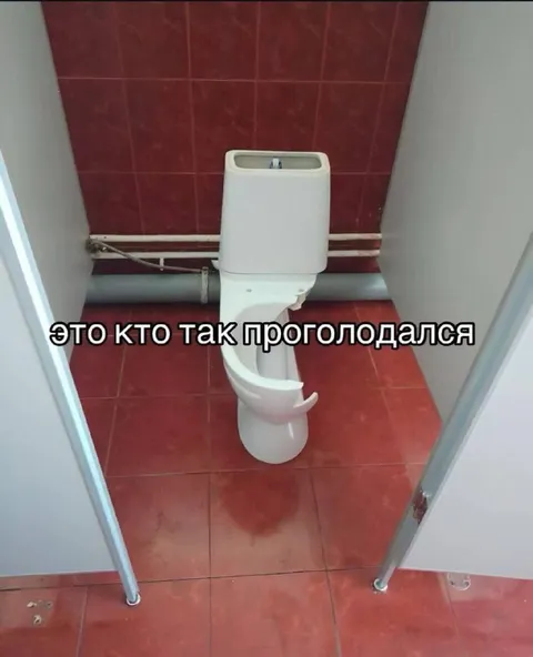 Кто так проголодался