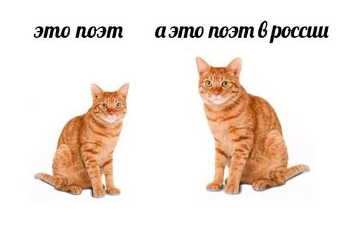 Поэт и поэт в России