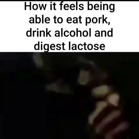 How It Feels to Digest Everything