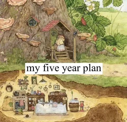 My Five Year Plan