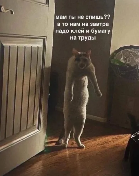 Мам, ты не спишь?