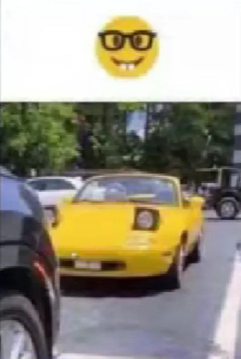 Ботан за рулём