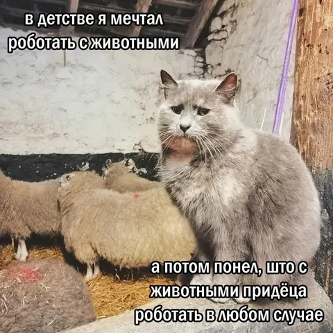 Мечтал работать с животными