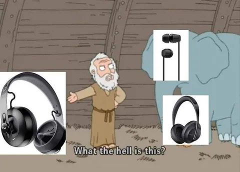 What the Hell Is This Headphones