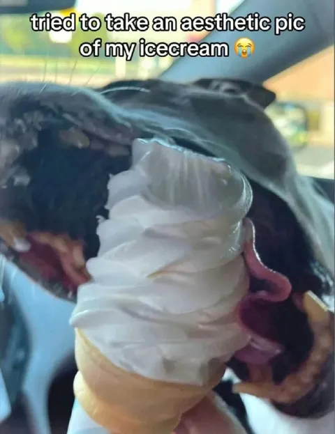Failed Aesthetic Ice Cream Photo