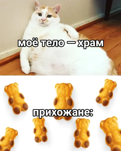 Моё тело — храм, прихожане