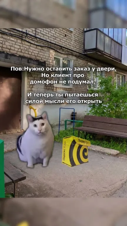 Заказ без домофона