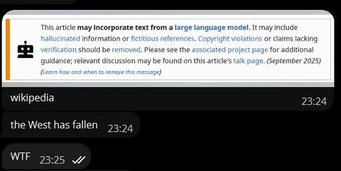 Wikipedia AI Warning Chat