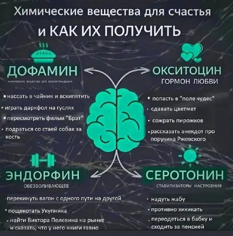 Химические вещества для счастья