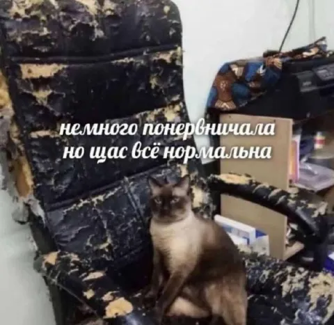Щас всё нормальна