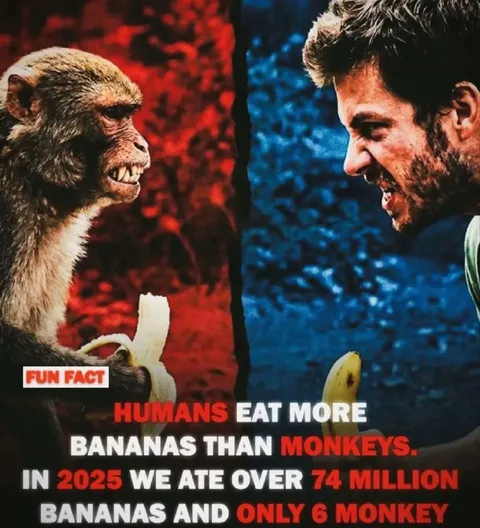 Humans Eat More Bananas