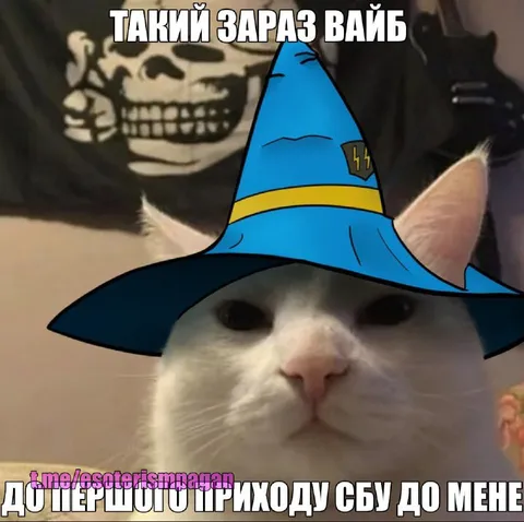 Вайб до приходу СБУ