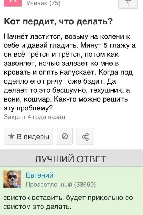 Совет коту-пердуну со свистком