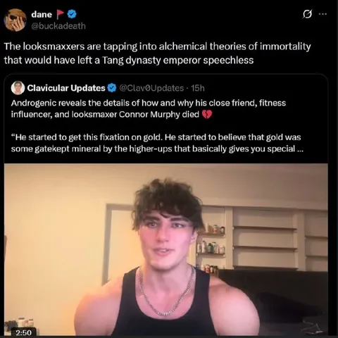 Looksmaxxer’s Immortality Theory