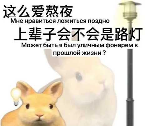 Люблю ложиться поздно
