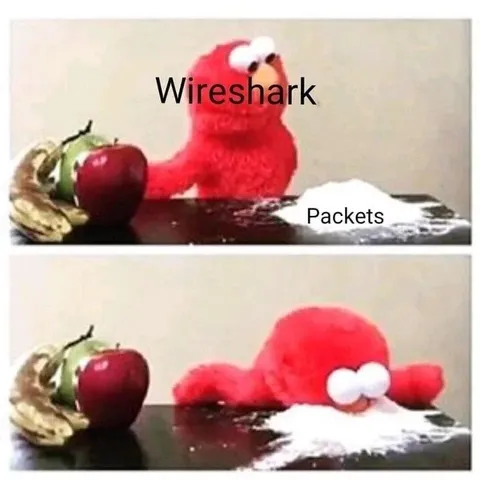 Elmo Drowning in Packets