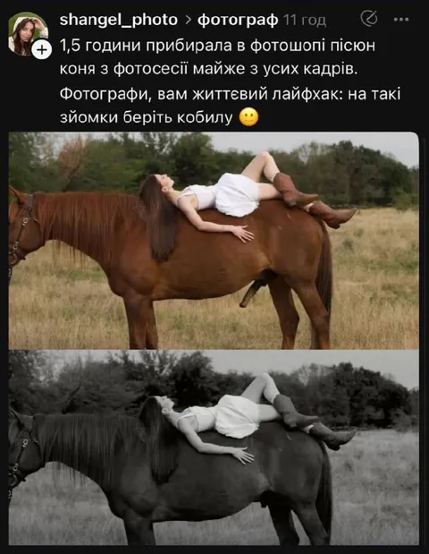 Фотографи, беріть кобилу