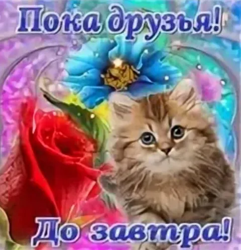 Пока друзья! До завтра!