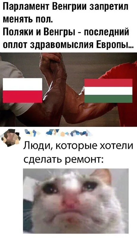 Поляки и венгры за здравомыслие